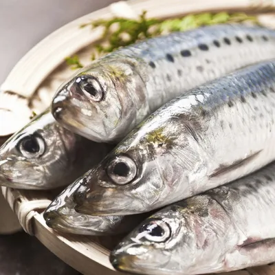 Sardine Peptide